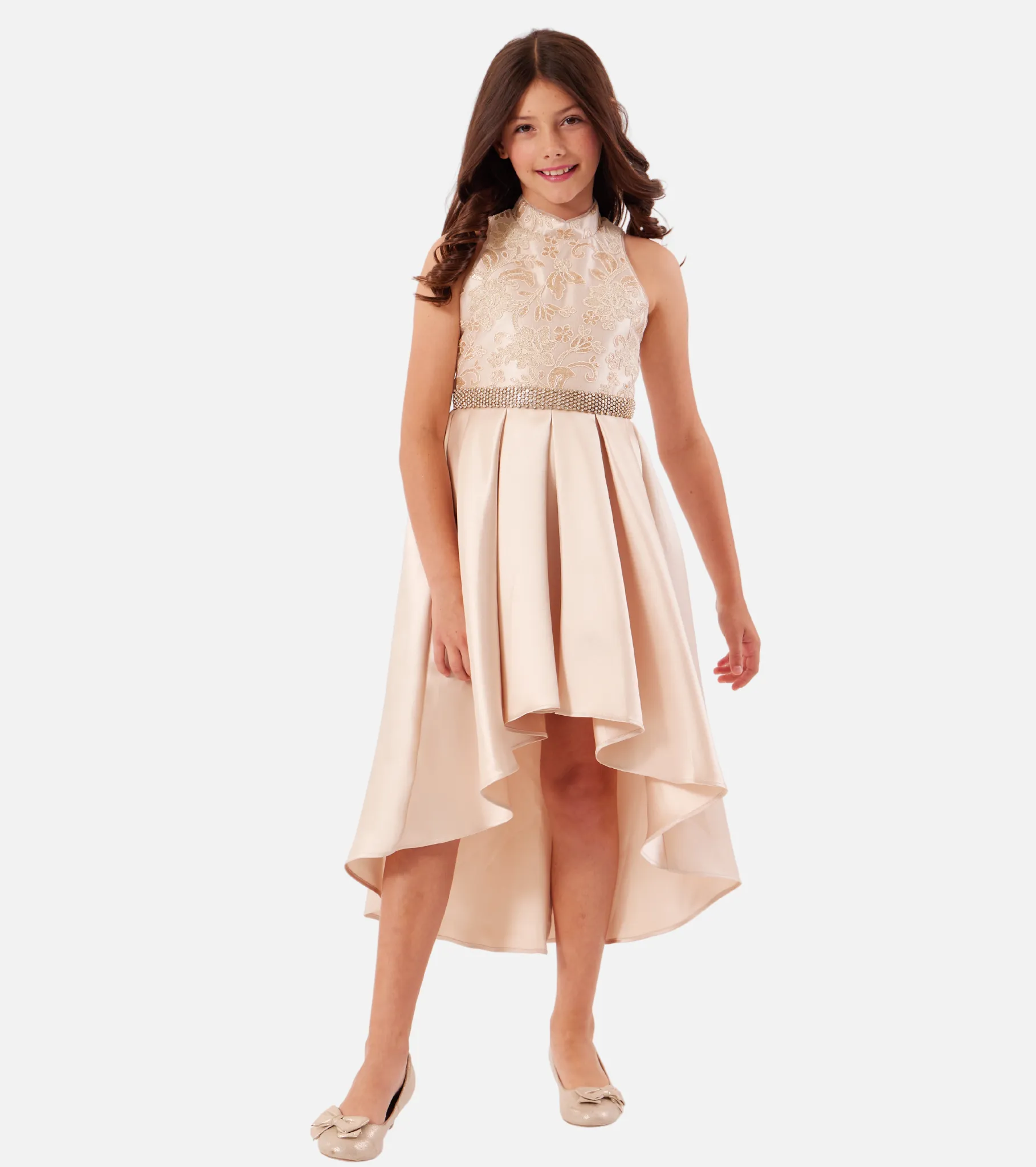 Anastasia Embroidered Gown