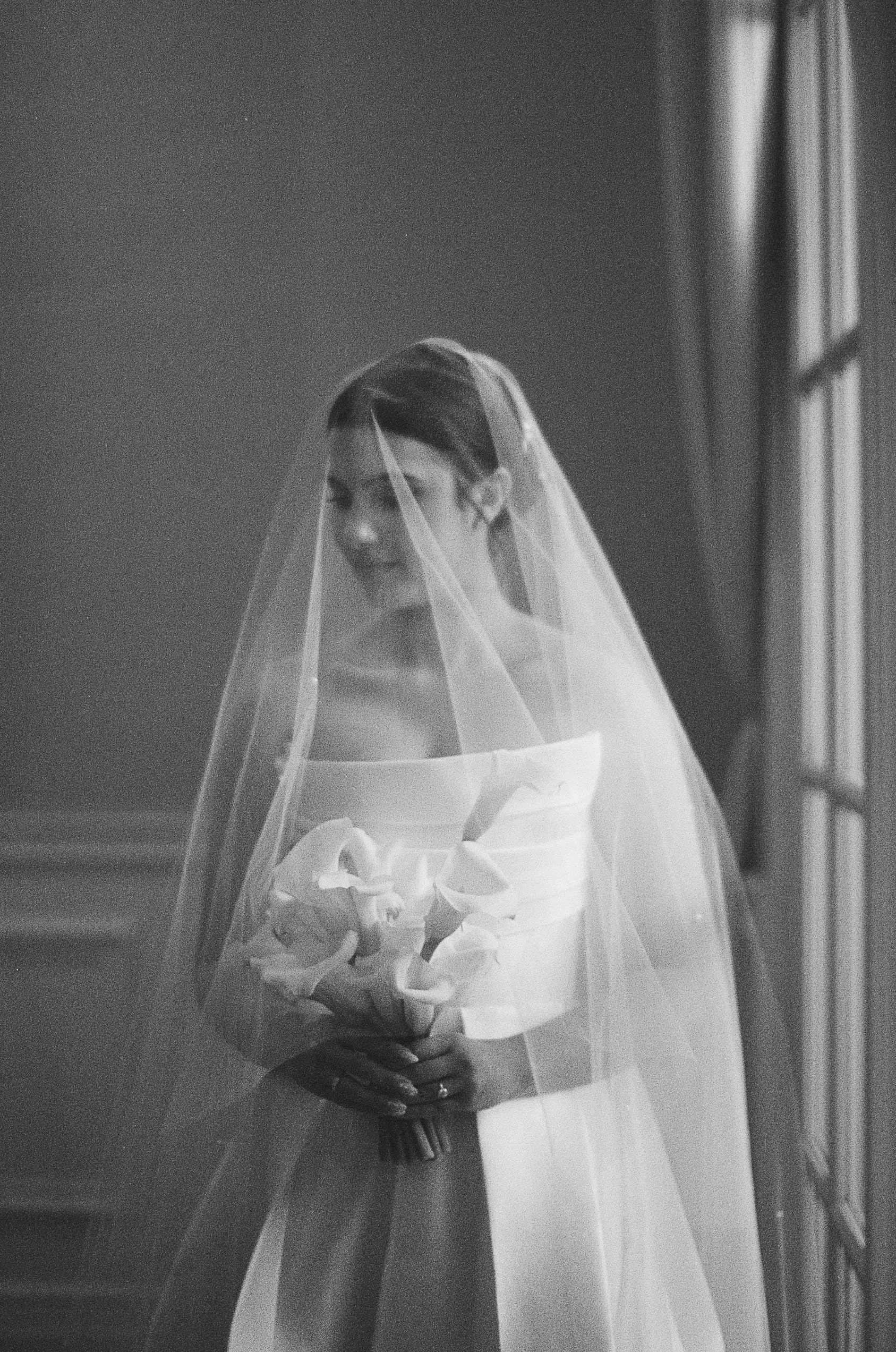Cathedral Length Wedding Veil with Scattered Rhinestone Crystals