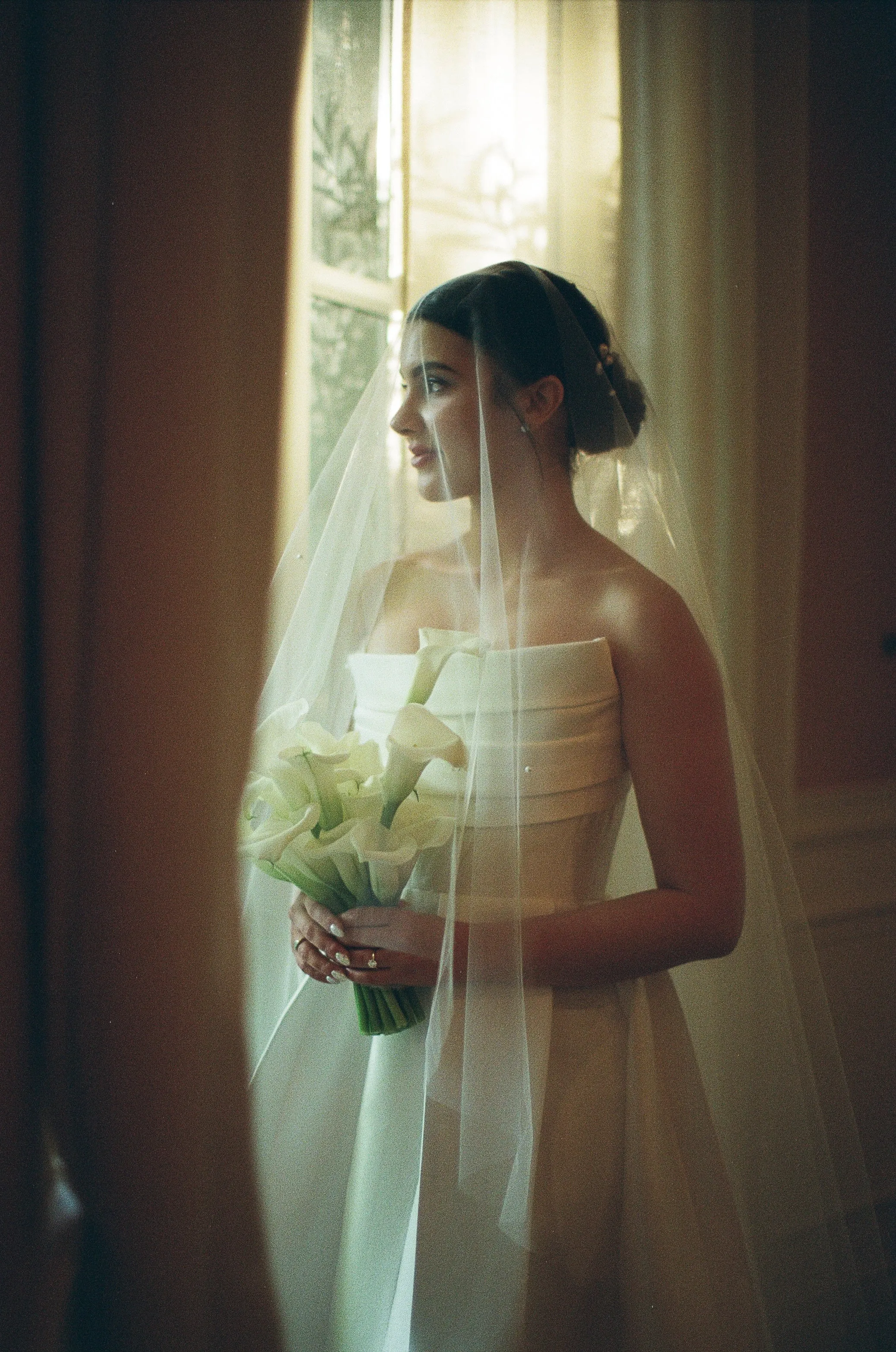 Cathedral Length Wedding Veil with Scattered Rhinestone Crystals