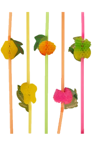 Fruit Straws Pack