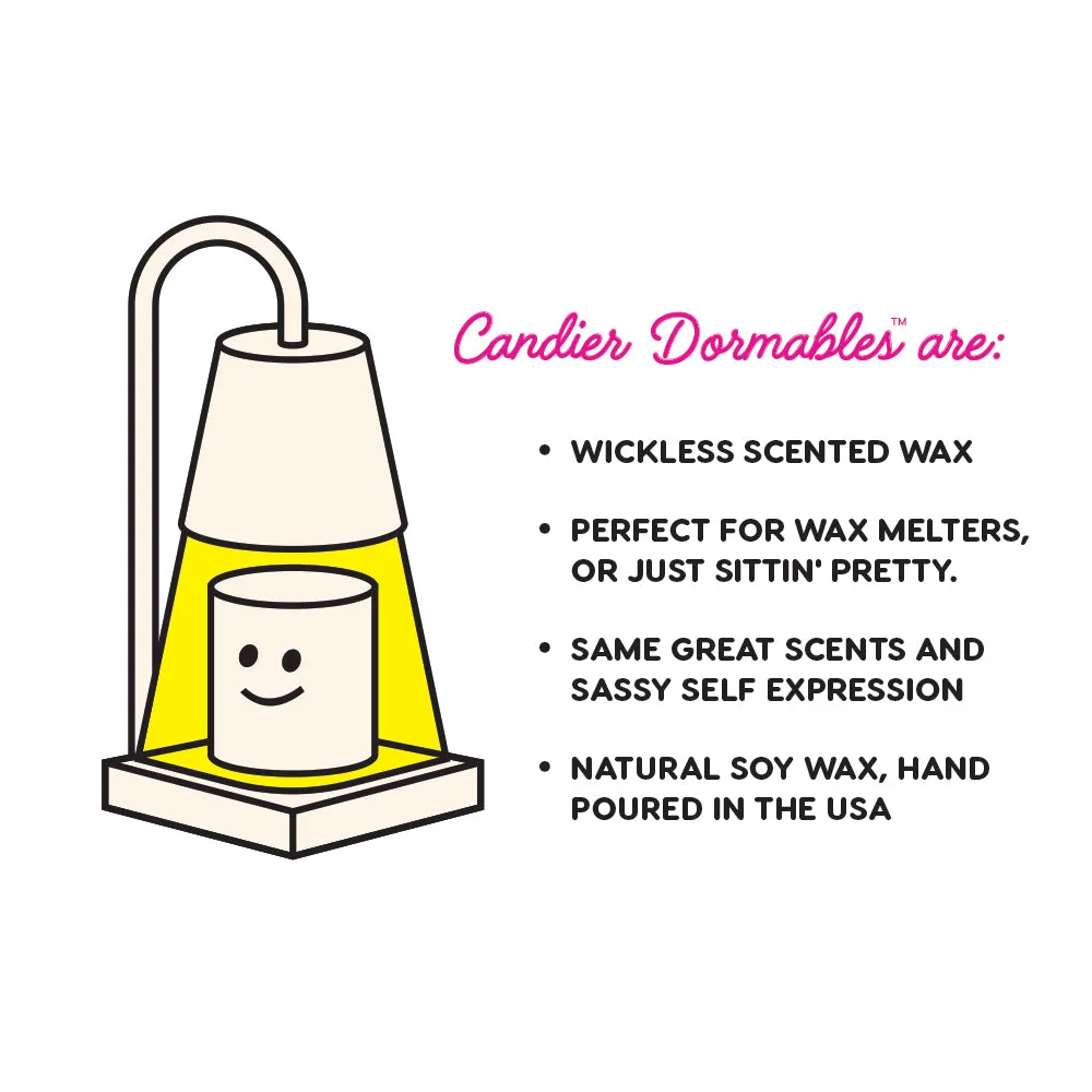 GIRL MATH UNIVERSITY FLAMELESS WAX MELT