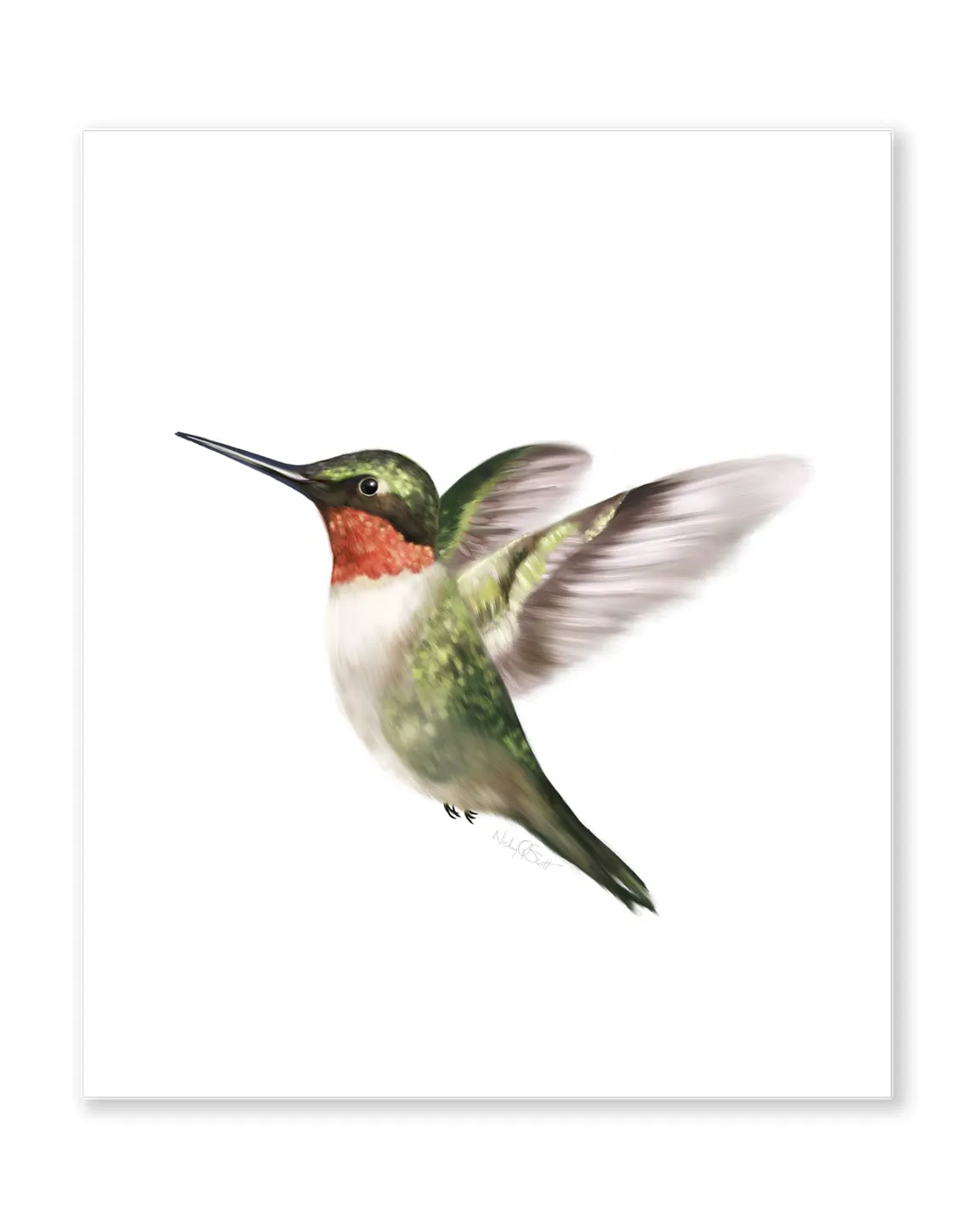 Hummingbird 1 Art Print