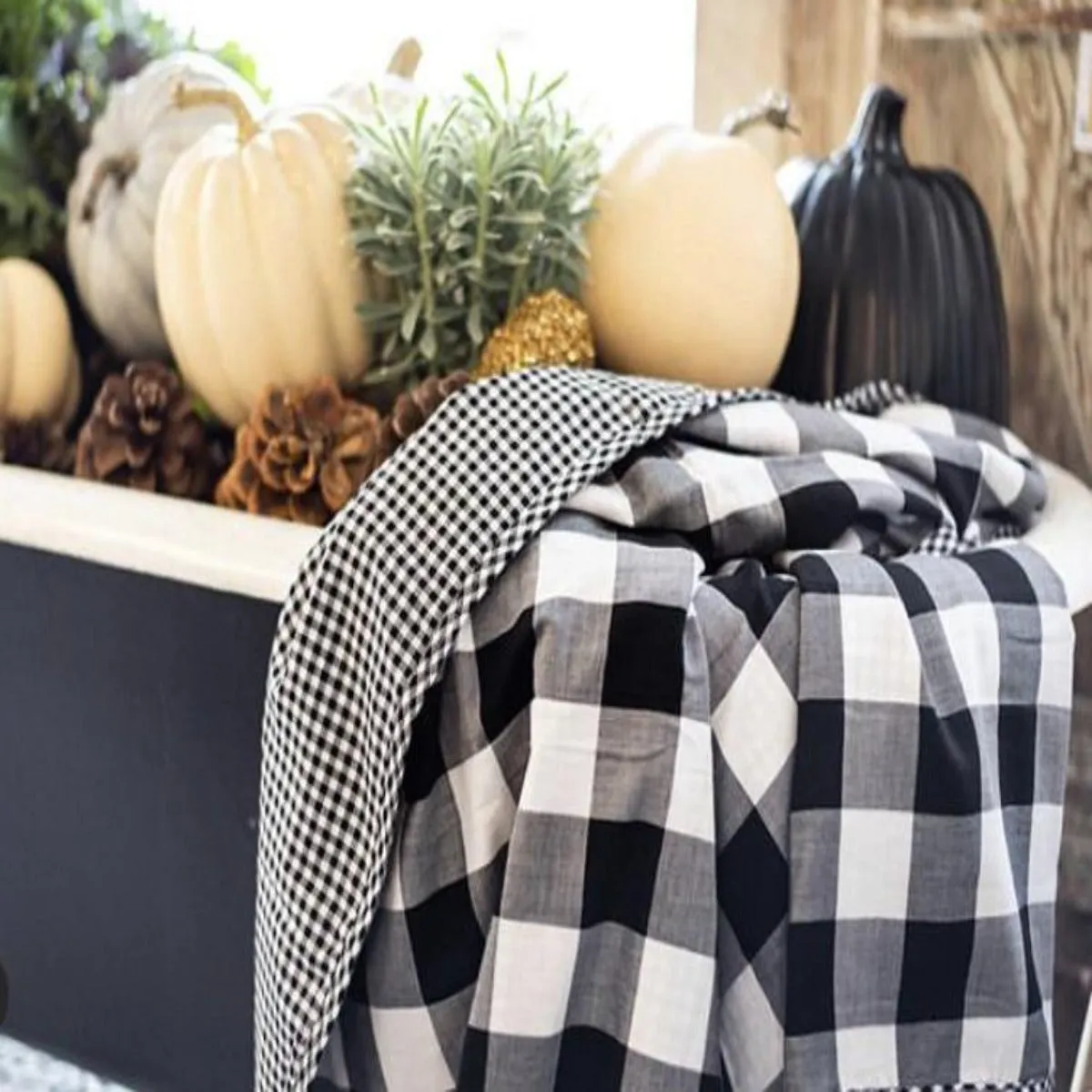 Lifetime Blanket (Toddler Blanket) - Black and White Monochrome Gingham