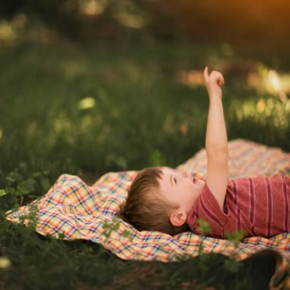 Lifetime Blanket (Toddler Blanket) - Gold Safari Gingham