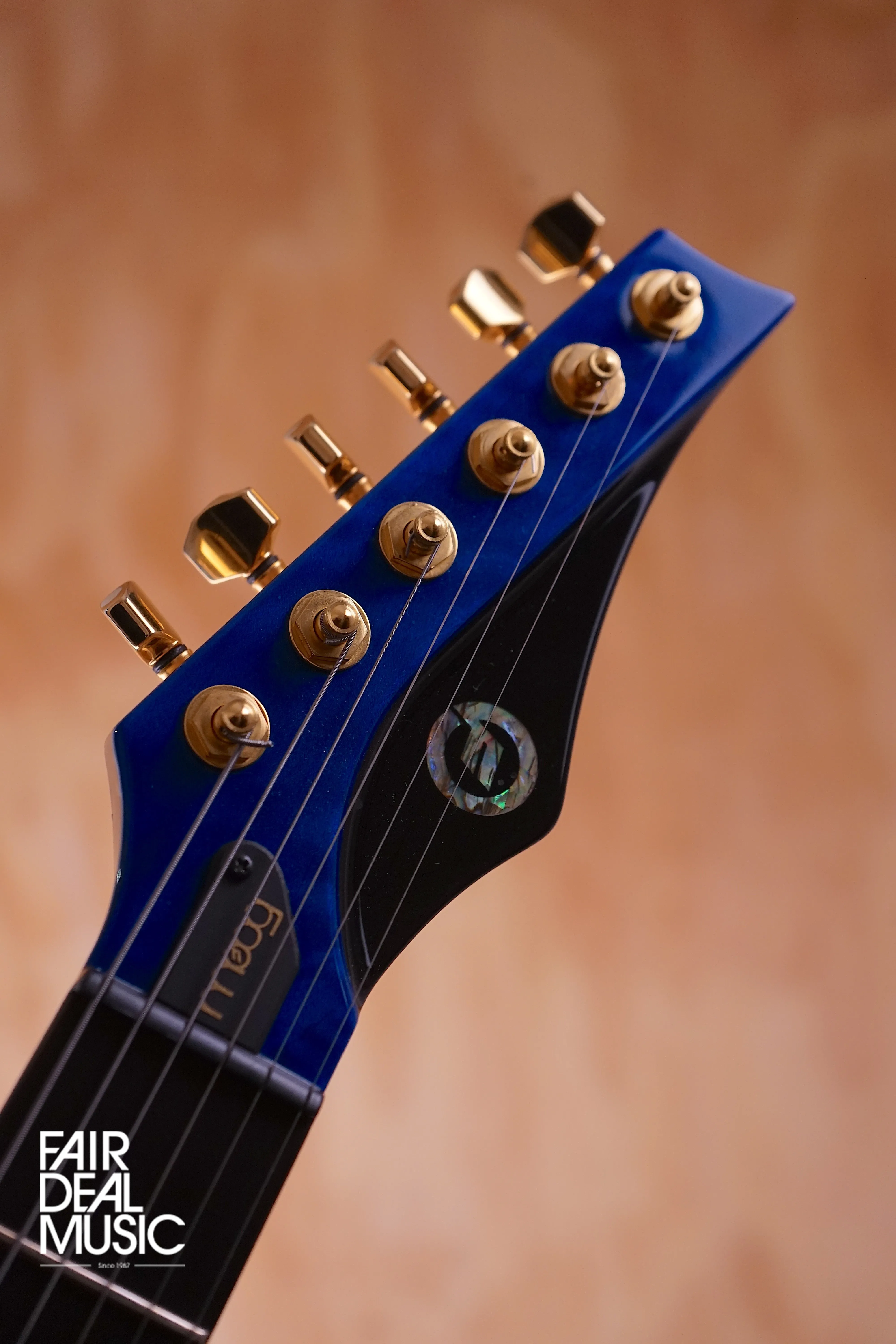 Moog Paul Vo Collector's Edition Prototype in Blue Flamed, USED