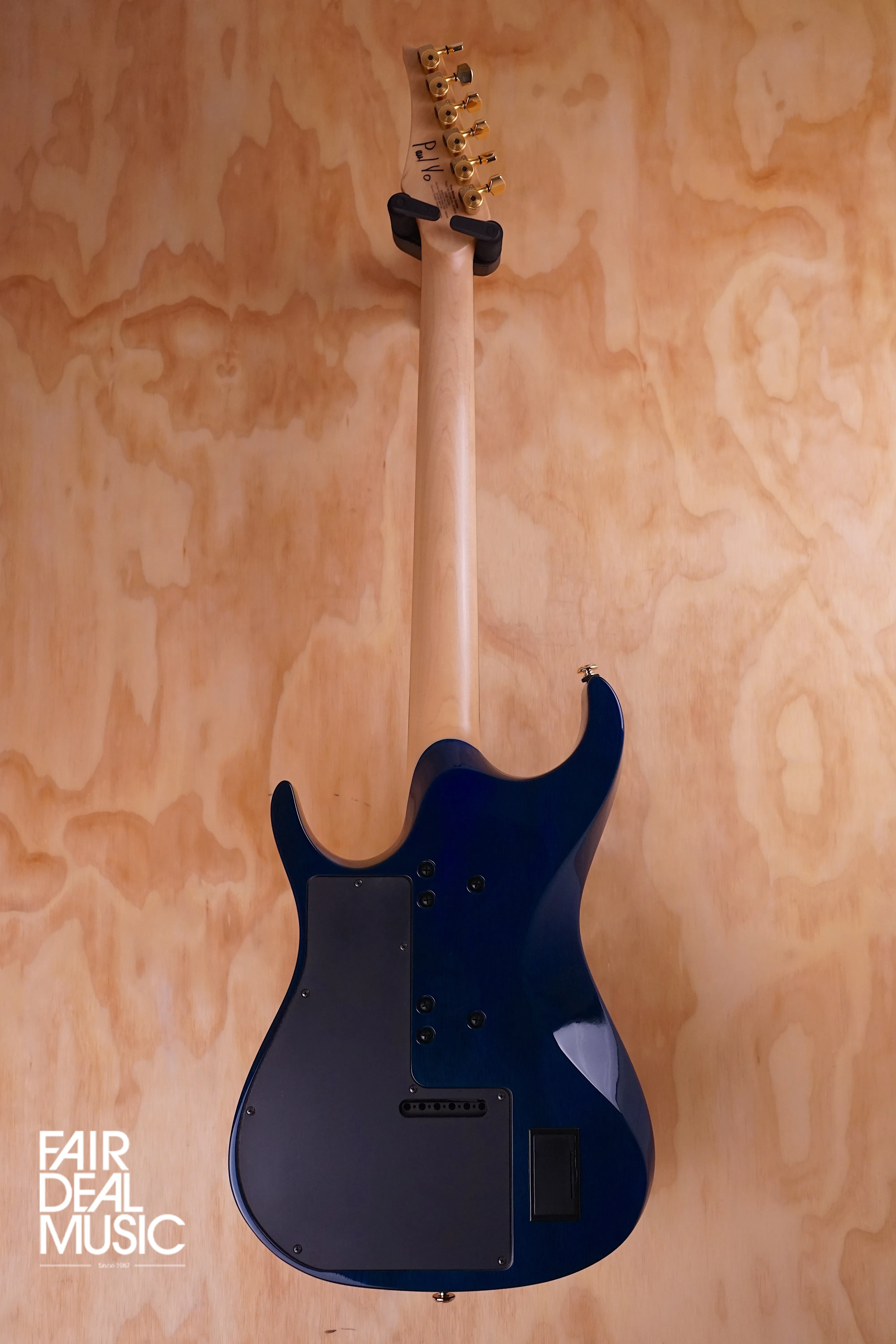 Moog Paul Vo Collector's Edition Prototype in Blue Flamed, USED