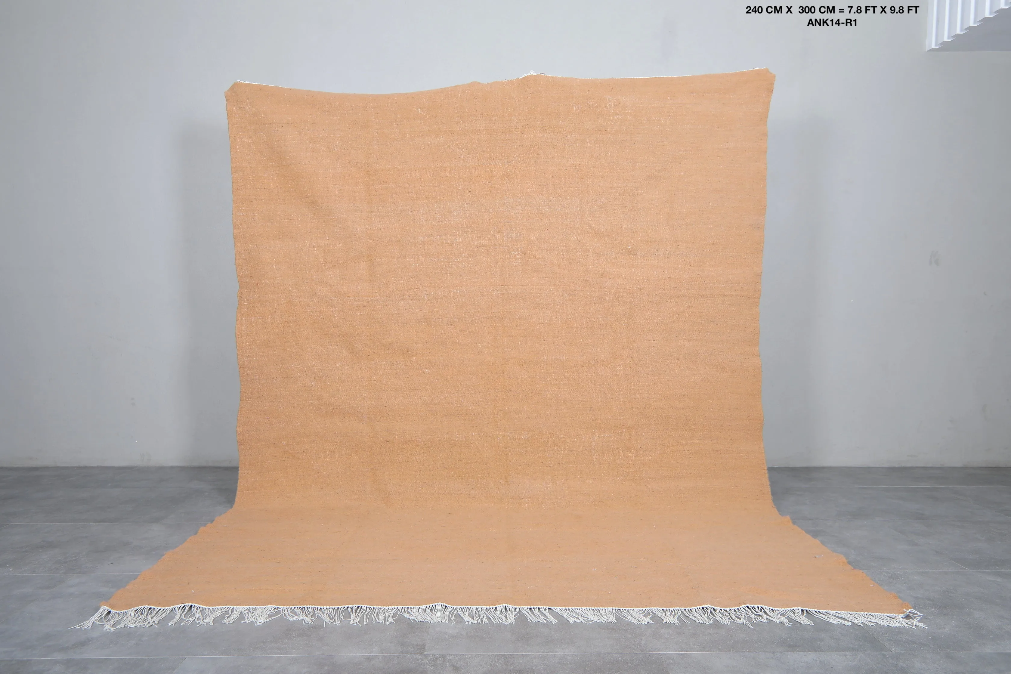 Moroccan Rug - Flat Woven Berber Rug - Custom Rug