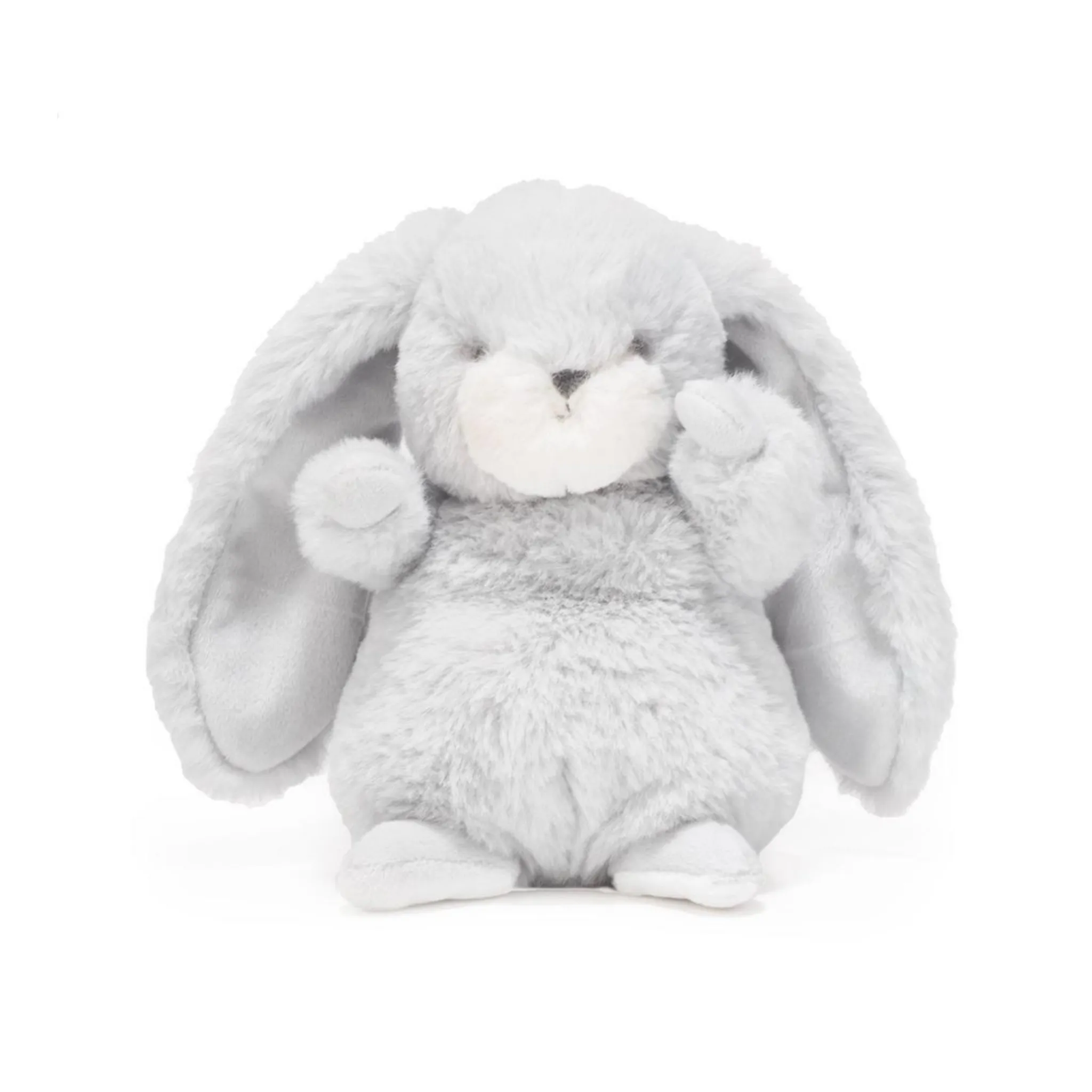 My First Photograph Gender Neutral  Newborn Sweet Bun Bun Outfit and Gifts Set