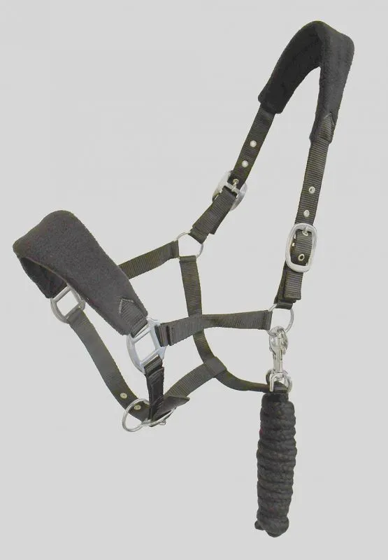 Personalised Anatomical Headcollar And Leadrope Set - Handwritten Design