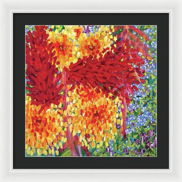 "Ginger Boom" - Framed Print