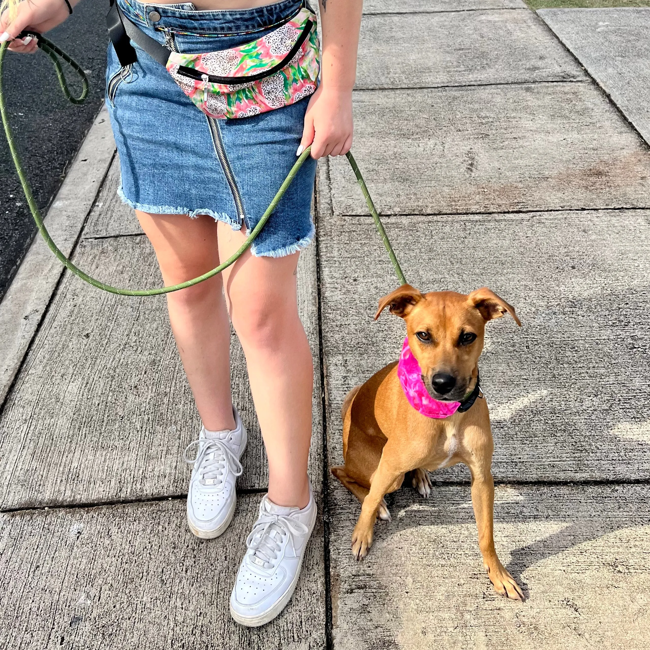 Summer Dragonfruit Fanny Pack