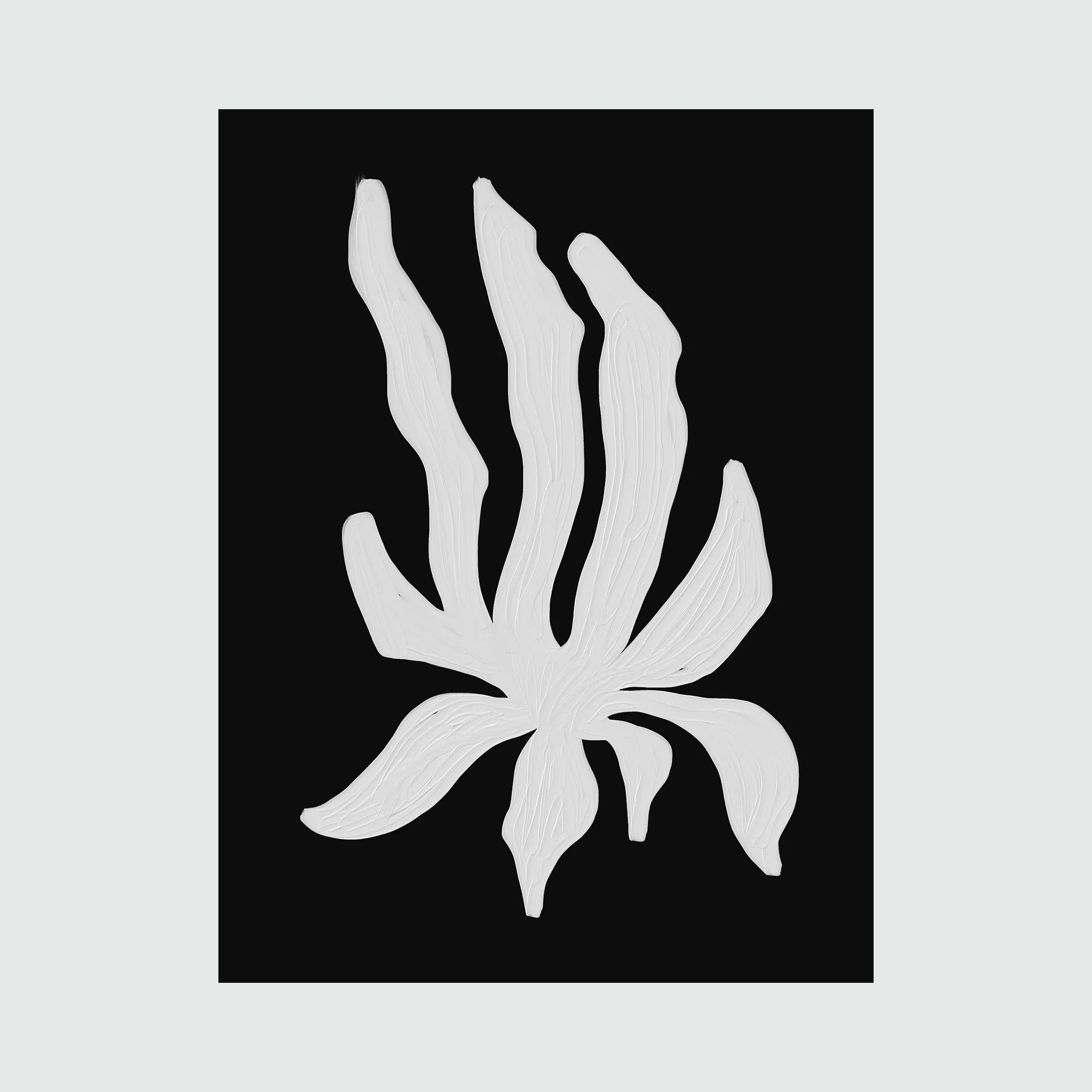 Tropical Black And White