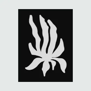 Tropical Black And White