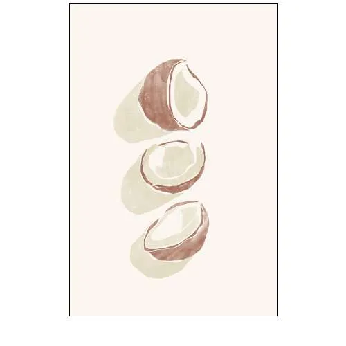 Tropical Coconuts