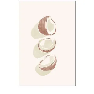 Tropical Coconuts