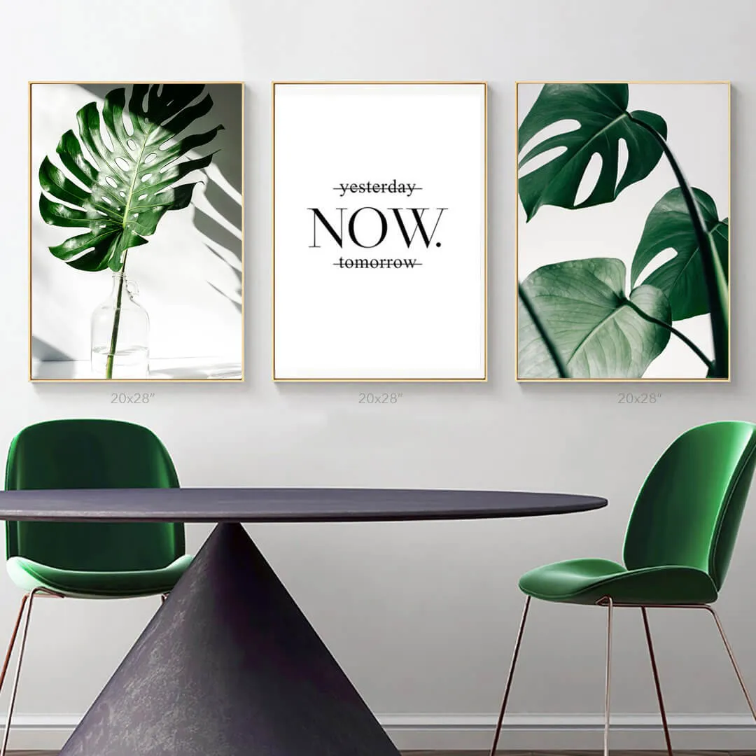 Tropical Monstera