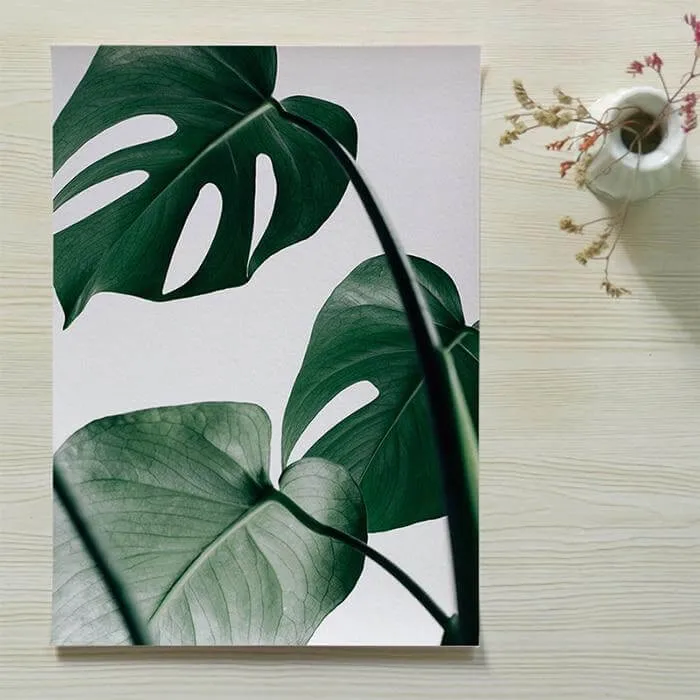 Tropical Monstera