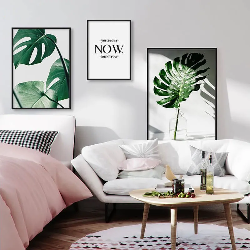 Tropical Monstera
