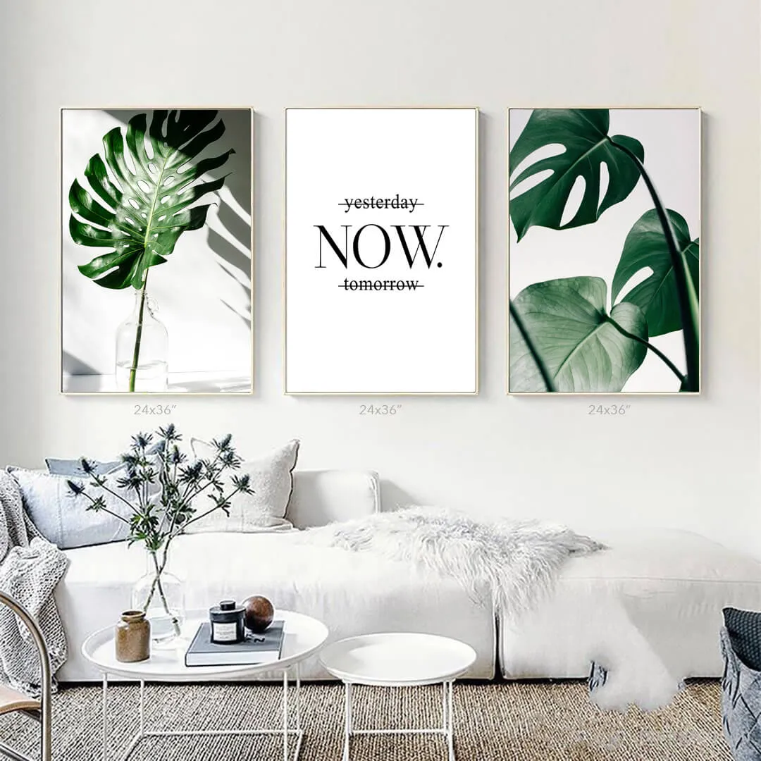 Tropical Monstera