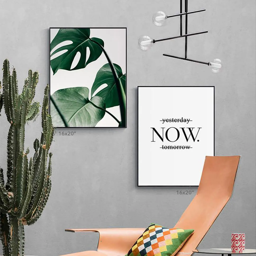 Tropical Monstera