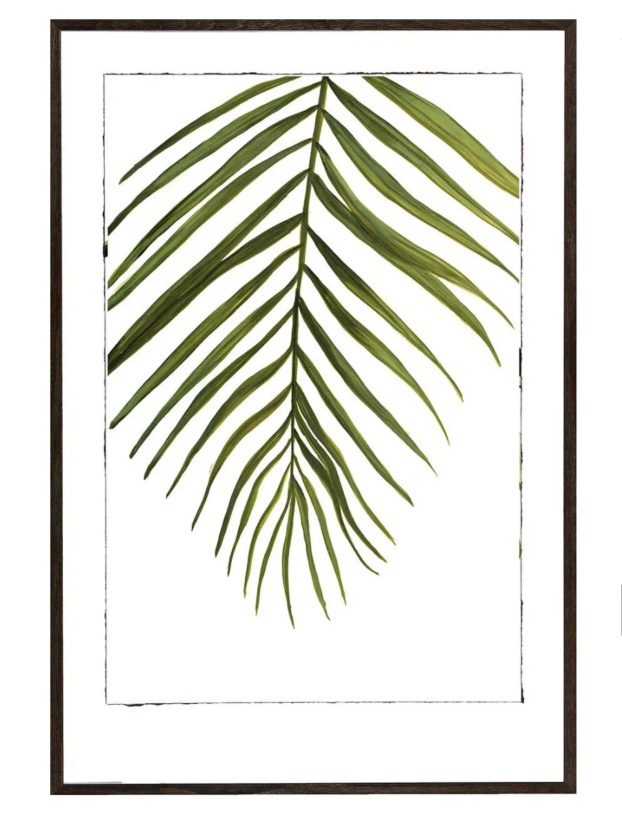 Tropical Splash I