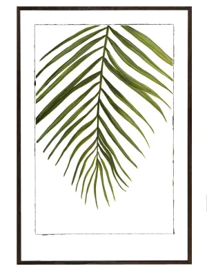 Tropical Splash I